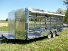 Pigeon Trailer 1