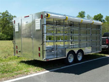 Pigeon Trailer 1