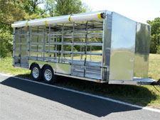 Pigeon Trailer 2