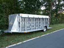 Pigeon Trailer 1