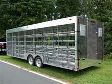 Pigeon Trailer 1