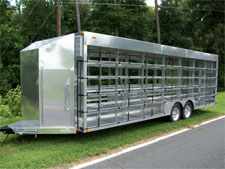 Pigeon Trailer 2