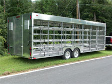 Pigeon Trailer 1