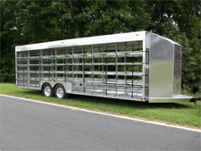 Pigeon Trailer 1