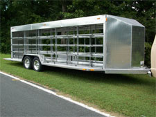 Pigeon Trailer 1