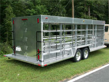 Pigeon Trailer 2