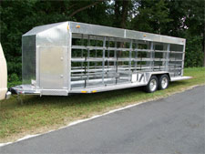 Pigeon Trailer 1