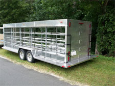 Pigeon Trailer 1