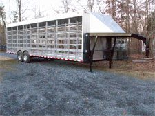 Pigeon trailer close-up back
