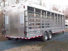 Pigeon trailer close-up side