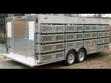 Pigeon trailer close-up back