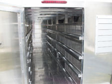 Pigeon trailer close-up back