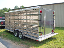 Pigeon trailer close-up back