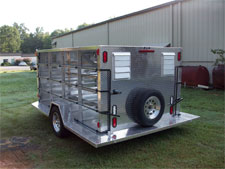 Pigeon trailer close-up side